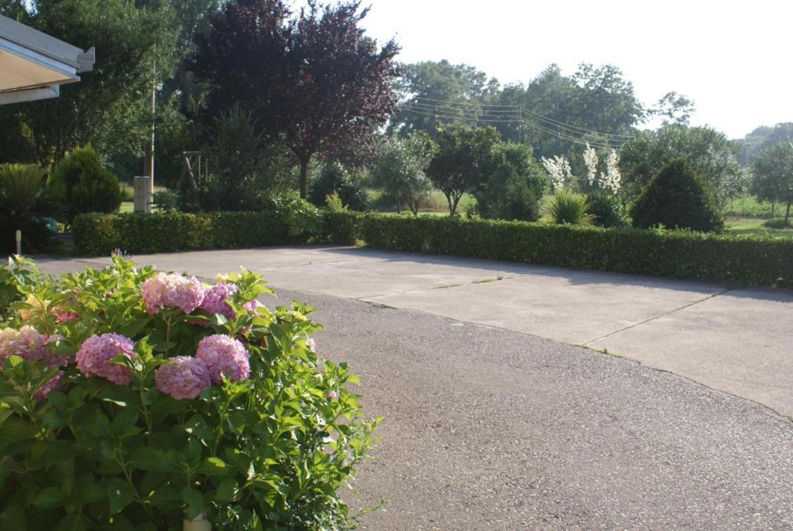 Helena'S Sweet Home Улцинь Экстерьер фото